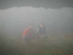 Stolnici